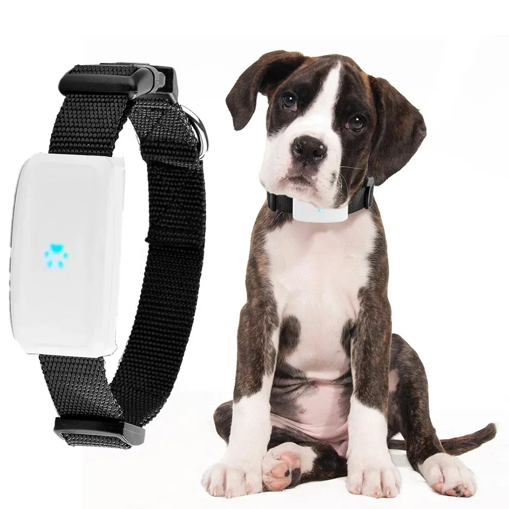 2G GPS Tracker Real Time Pet GPS Locator, Mini Anti Lost Tracker Free APP IP67 Waterproof  SOS Alarm for Dog Cat New Arrival