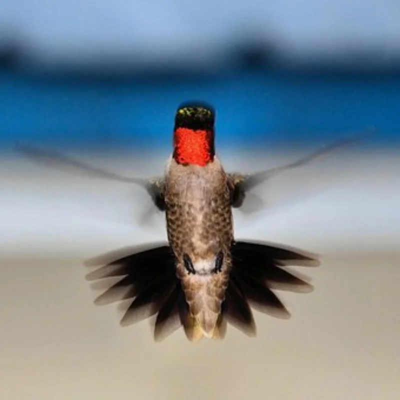 

Металлический передний бампер RC Rock Crawler автомобиля для 1/10 RC Crawler Axial SCX10 Trxs TRX4 D90 D110 CC01, детали для обновления автомобиля