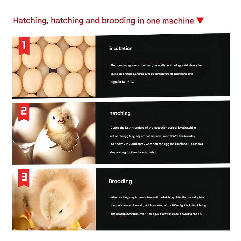 with Automatic Egg Turning  High Hatching Rate Suitable for Backyard Chicken Breeders New Medium-Sized Incubator