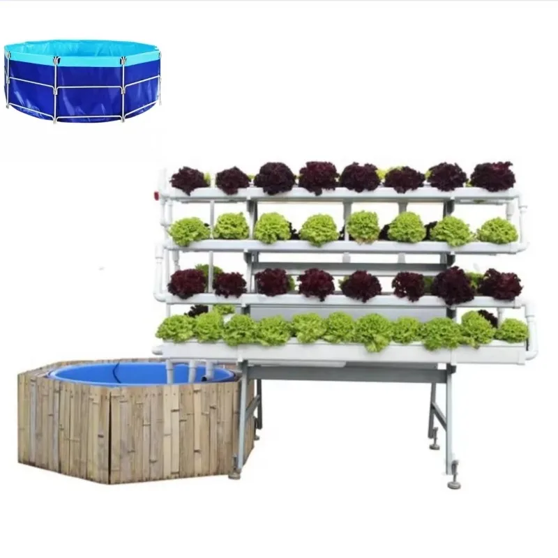 Kompletny system uprawy Aquaponics Inżynieria tajska Ryby Rolnictwo Zbiornik stawowy Baseny hodowlane