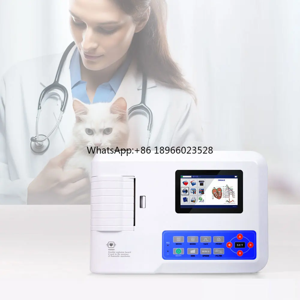 CONTEC ECG300G-VET Veterinary Electrocardiograph Portable Ecg Machine 12 Lead 3 Channel Ecg