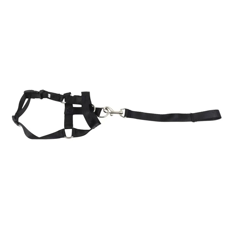 Dog Collar Muzzle Halter Training Dog Leash Leader Classic Collar Adjustable Anti-barking Anti-bite Dog Harness Dog accessories view 5