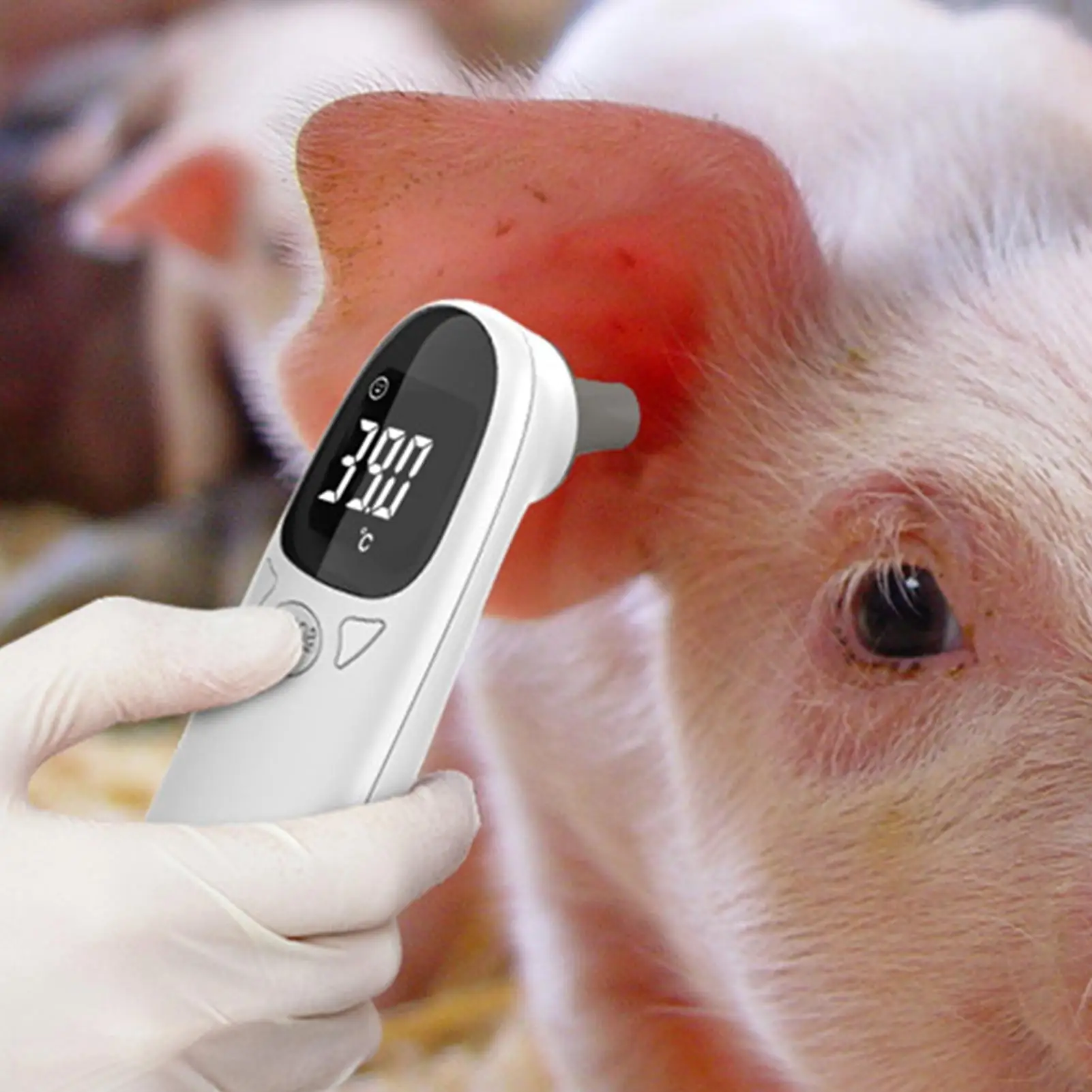 Pet Ear Digital Thermometer Non-Contact Electronic Dog Ear Thermometers Dogs Puppy Cats Measuring for Veterinary Pet Supplies