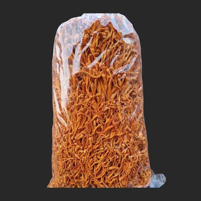 Orange Series:100% Natural Yunnan Cordyceps Flower Dried Flowers For Aromatherapy Candle Resin Jewelry Soap Making Art Craft