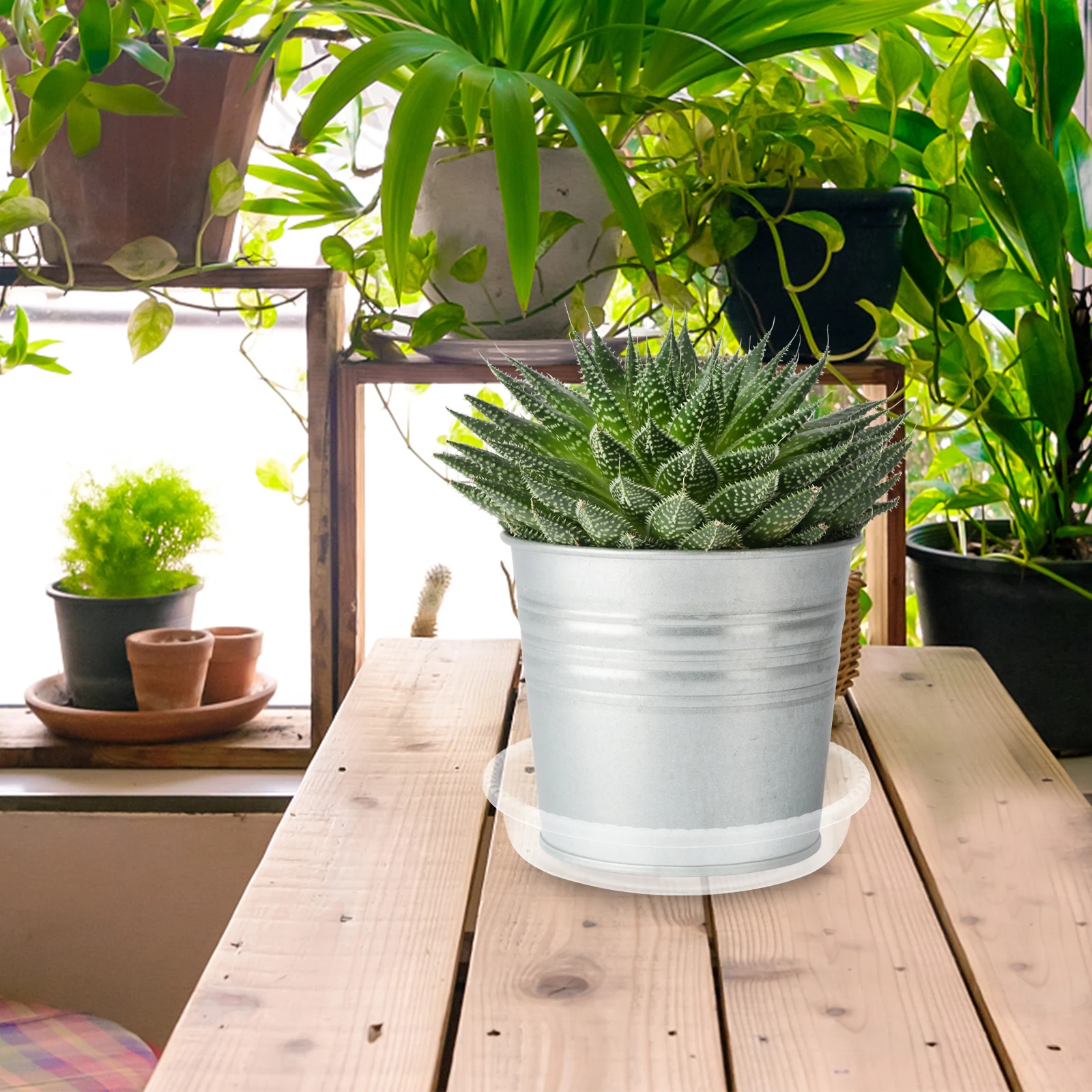 

30 Pcs Plastic Drip Tray Easy to Clean Plant Flower Pot Plate Flowerpot Base Water for Plants Transparent