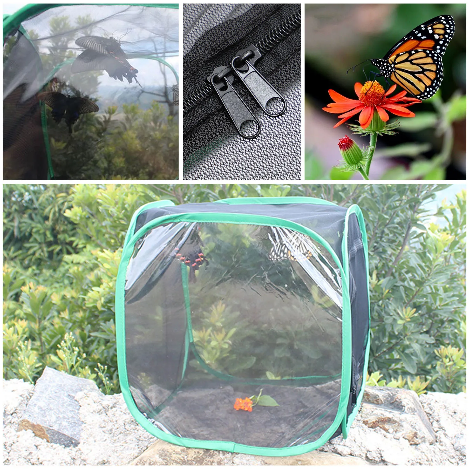 

Insect-proof Cage Foldable Plant Incubator Butterflies Observation Greenhouse Child