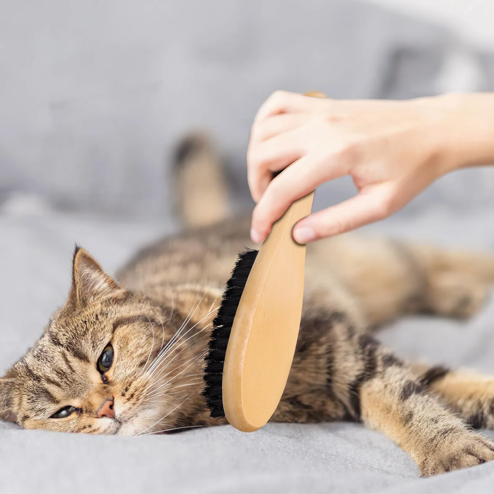 

Wood Handle Boar Bristle Brush Multipurpose Cleaning Polishing Shoes Clothes Pet Cat Hair Remover Lint Dust Brush