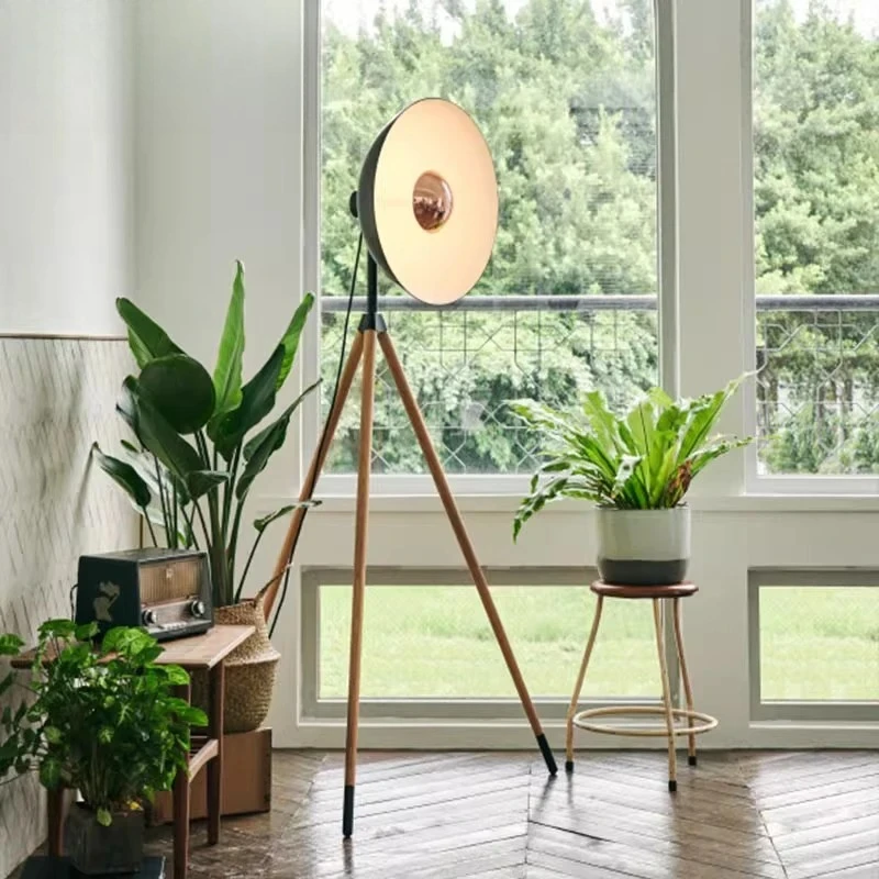 

Nordic Style Modern Home Decoration Corner Metal Floor Light with Light Emitting Diode Home Art Decoration Light