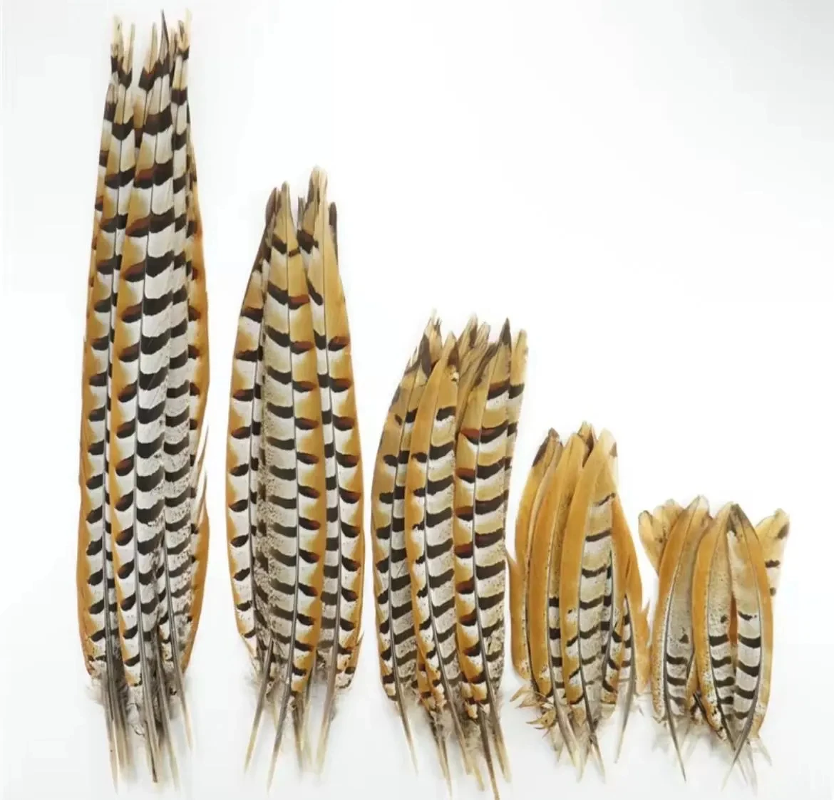 plume-de-queue-de-faisan-naturelle-de-20-60-cm-plume-longue-de-style-coq-accessoires-de-decoration-pour-chapeaux-et-costumes-artisanat-diy