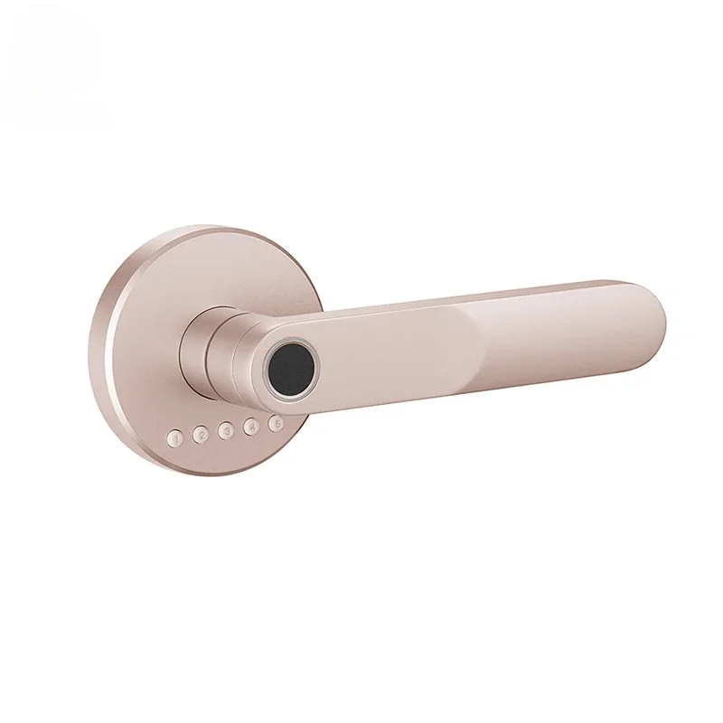 Family hotel simple convenient to open smart fingerprint wooden door lock