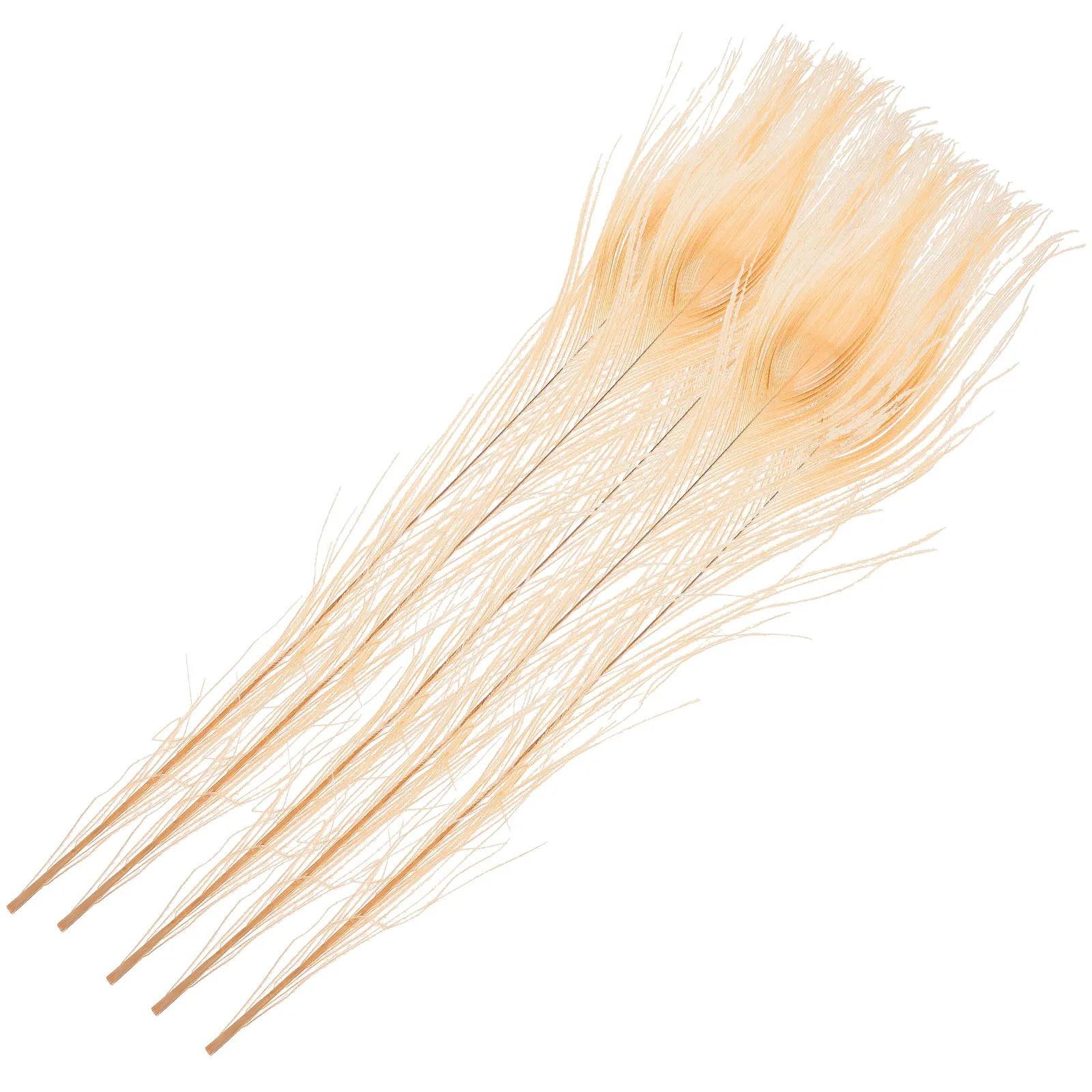 

5pcs Natural Peacock Plumes Diy Craft Decorations Wedding Party Centerpieces Vase Filler Home Decor Plume Wall Art Craft