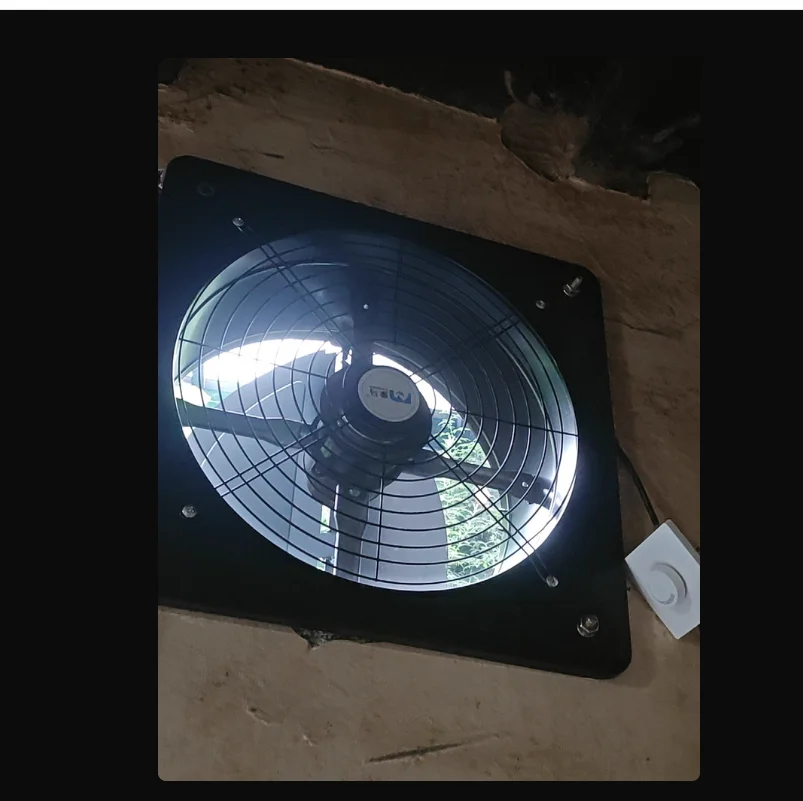 

220V Powerful Kitchen Exhaust Fan with High Performance Smoke Extractor Strong Ventilation Machine for Household Use CZ