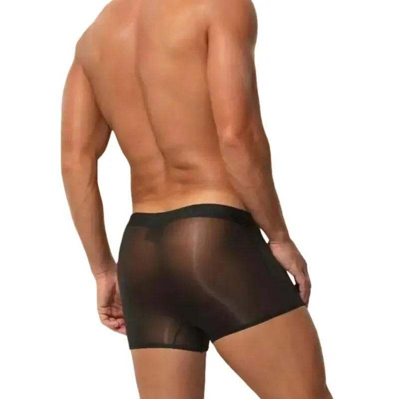 Sexy Sheer Men Elastic Underwears Sports Sexy See Through Ultra Thin Shorts Briefs Underpants Panties