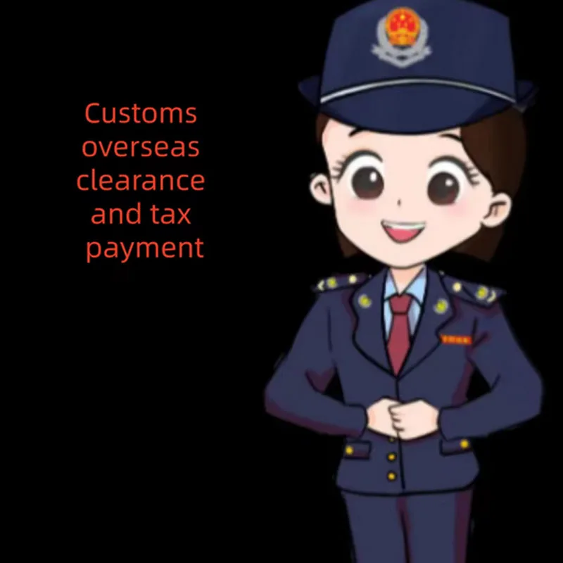 

VIP Customs clearance procedures fees and customs duties