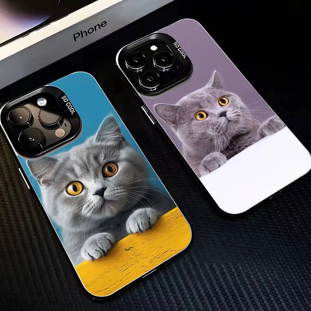 

Cute cat on a solid background Phone Case For iPhone17,16,15,14,13,12,11 Plus,Pro Max Black Matte Shockproof Cover