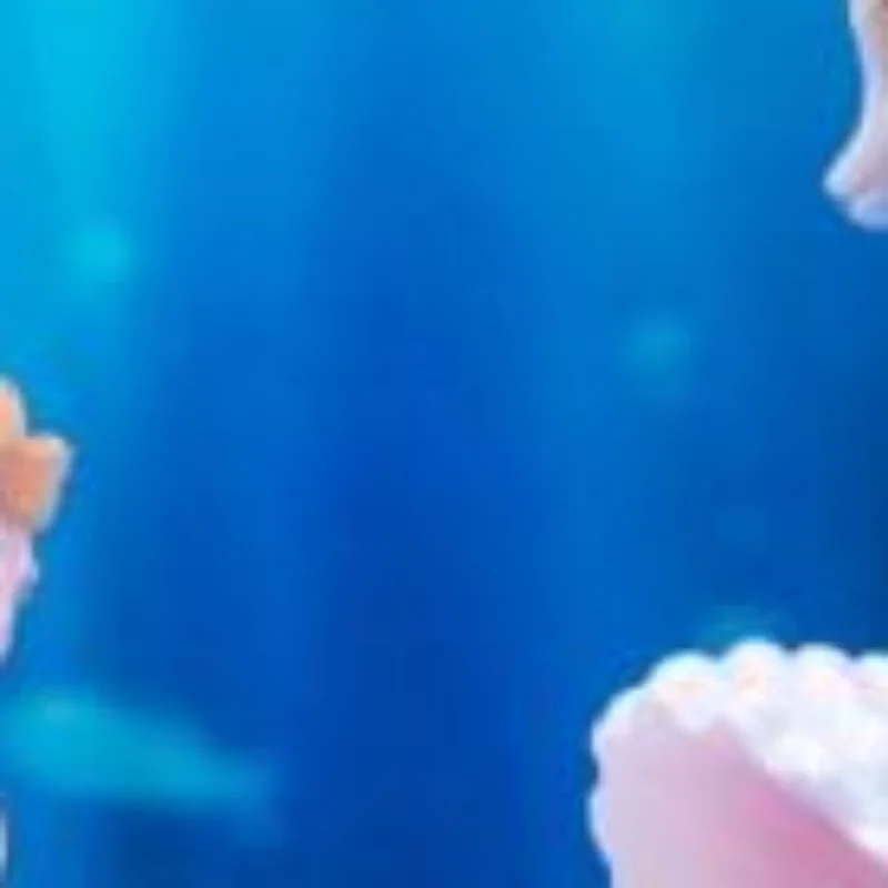 

4Pcs Kawaii Reef Mermaid Doll Fish Tank Aquarium Decorations Ornaments Home Decor Cute Cake Topper Toy Gift DIY Decoration