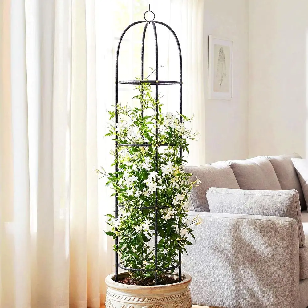 Outdoor Metal Trellis with Powder Coating, Ideal for Rose, Climbing Plants, and Tomato Cages