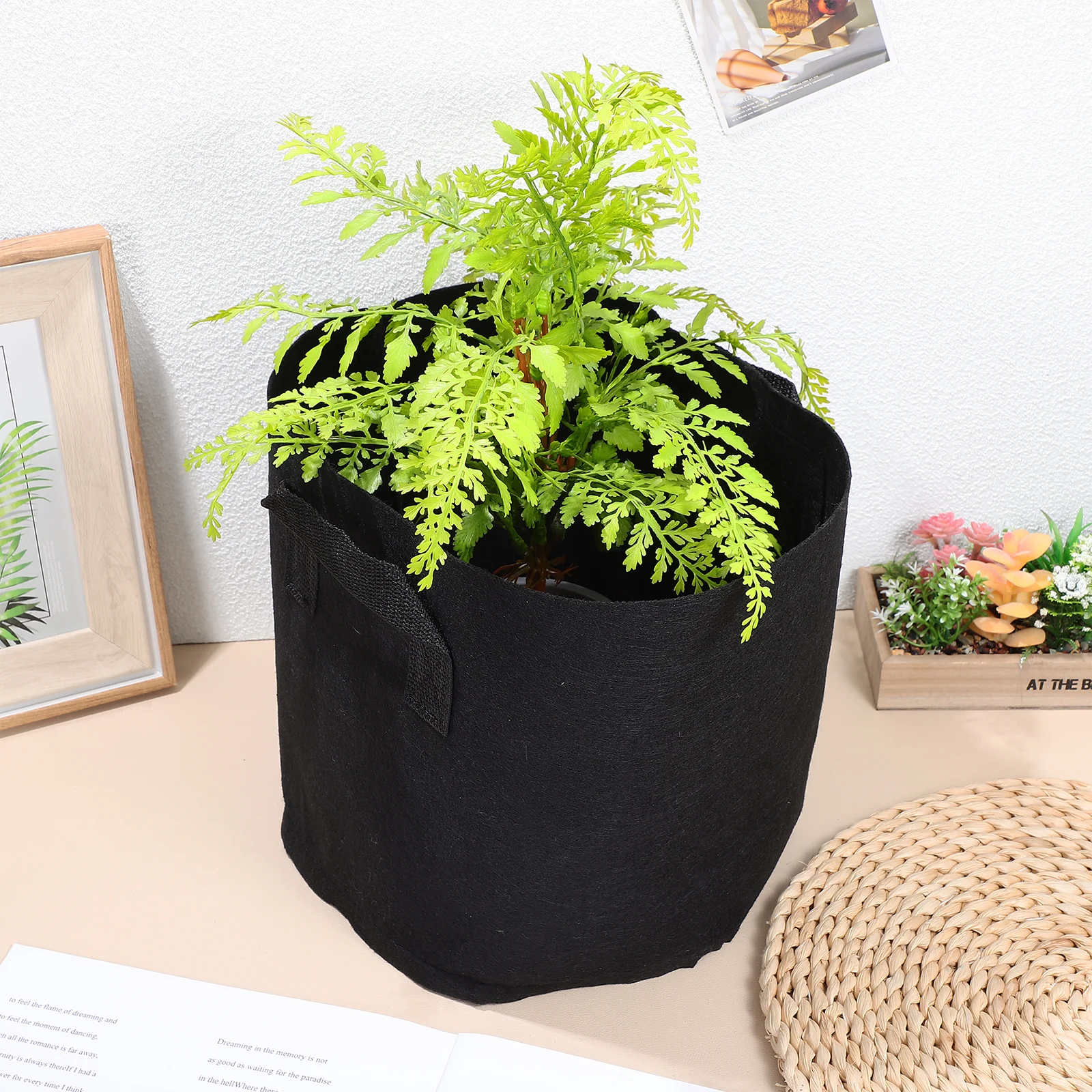 

12Pcs Grow Bags 3 Gallon Non-Woven Fabric Thickened Plant Pots with Handles Breathable Vegetable Flower Containers for Indoor
