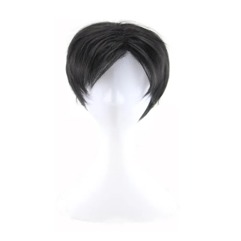 Cosplay Anime Levi Ackerman Mikasa Ackerman Eren Jaeger Hange Zoe Cosplay Wig High temperature resistance Wig +wig net