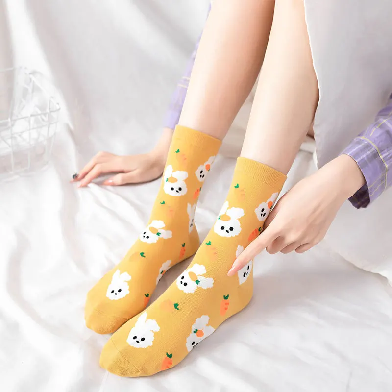 Kawaii Hoạt Hình Chó Con Vật Người Phụ Nữ Vớ Cotton Nhật Bản Hàn Quốc Phong Cách Thu Xuân Ngộ Nghĩnh Tất Nữ 12801