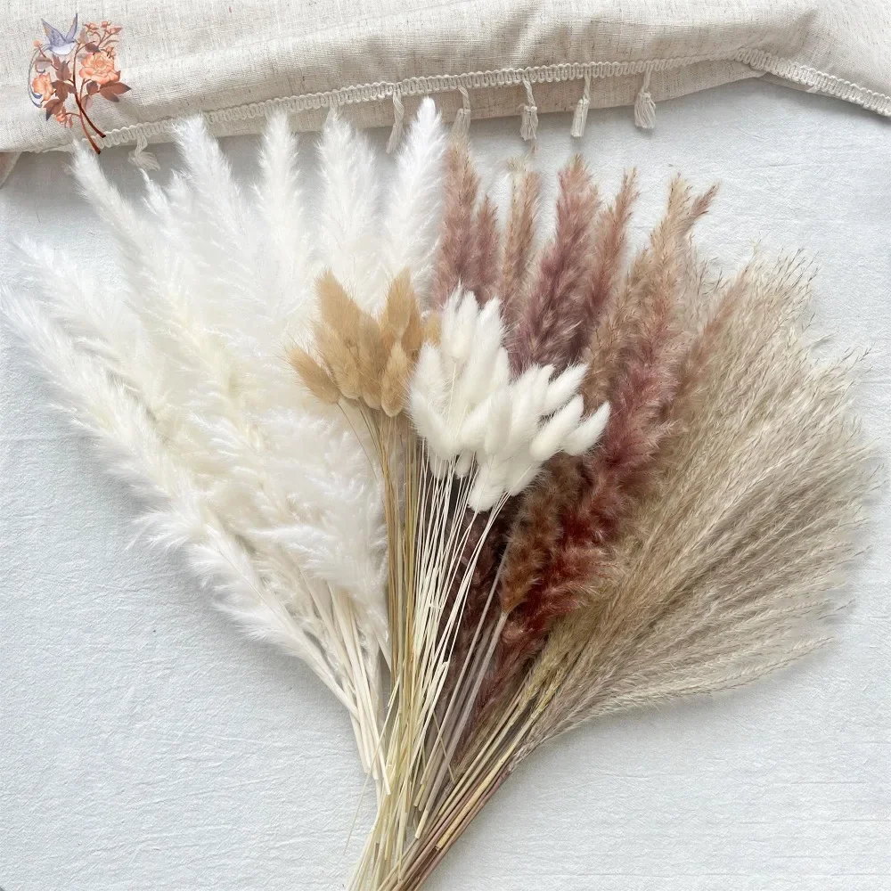 

Natural Dried Flowers Pampas Grass Wedding Decoration Rabbit Tails Bouquet Lagurus Ovatus Artifical Flower Party Home Vase Decor