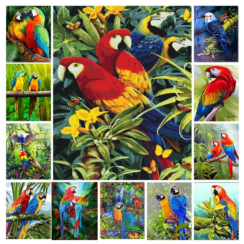 DIY Oil Painting By Numbers Parrot Animal Handpainted Art Wall Bedroom Living Room Home Decor Kids Room Decoration Unique Gift