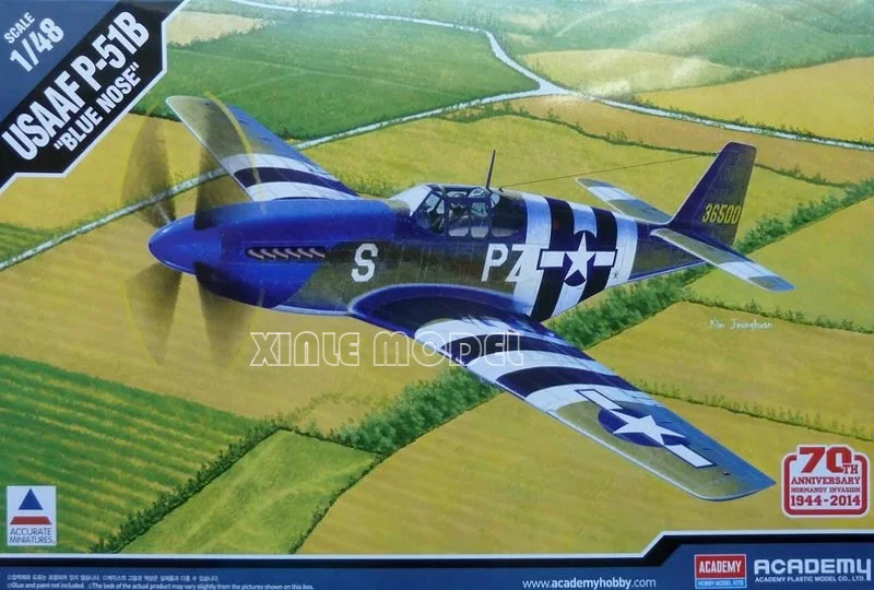North American P-51B Model Kit