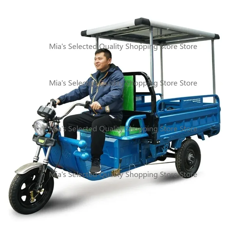 2025/3PLUSCOCO  Chinese Cheap Hot Sales  Tricycle 3 Wheel  Tricycle Solar Panel 500W EEC COC