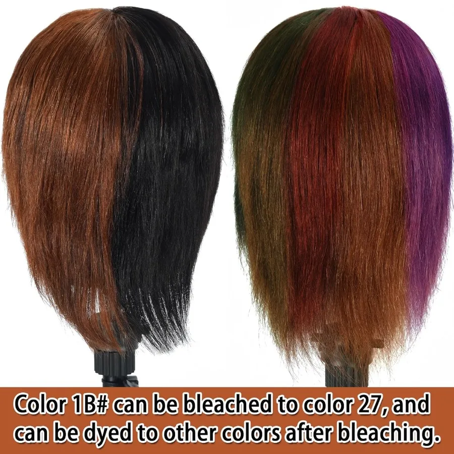 Cabeça de manequim de cabelo humano de 12 polegadas para kit de prática de barbeiro: cabeça de manequim masculina realista com cabelo humano natural ideal para St