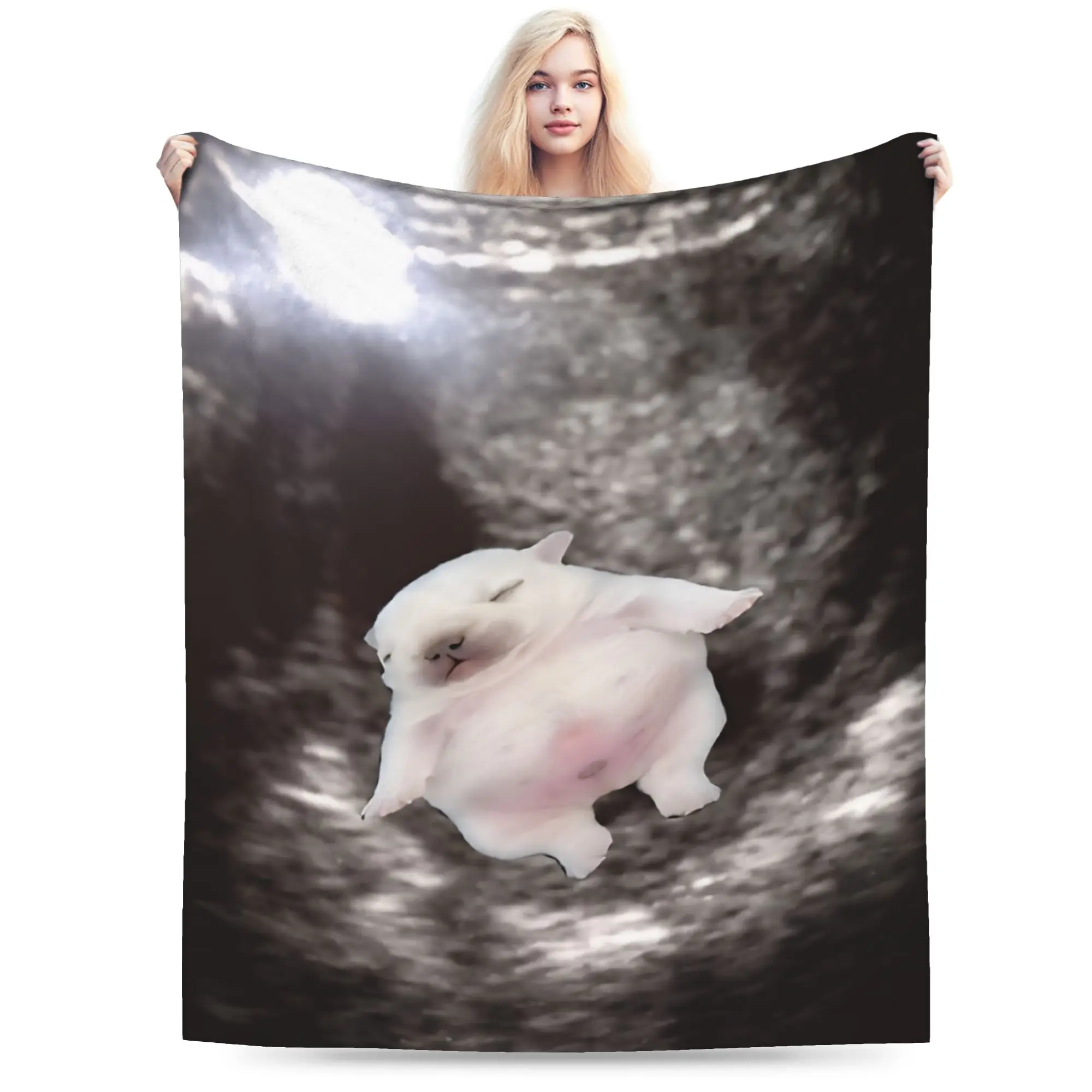 Stylish Pibble Meme Wash My Belly  Blankets Lightweight Thin Coral Fleece Plush  Relax Throw Blankets Machine Washable