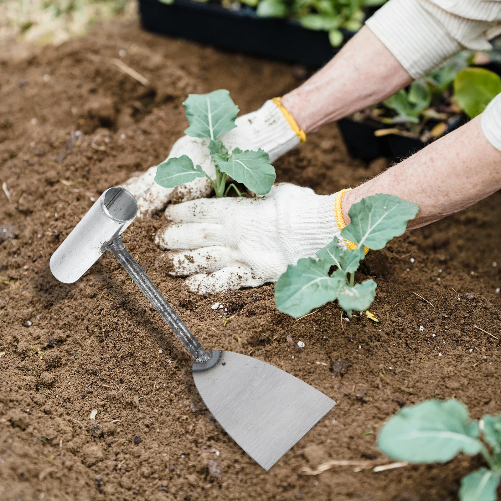 

Garden Shovel Trowel Spade Tool Small Digging Wild Vegetables Planting Fireplace Gardening Tools Multi Purpose Practical Iron