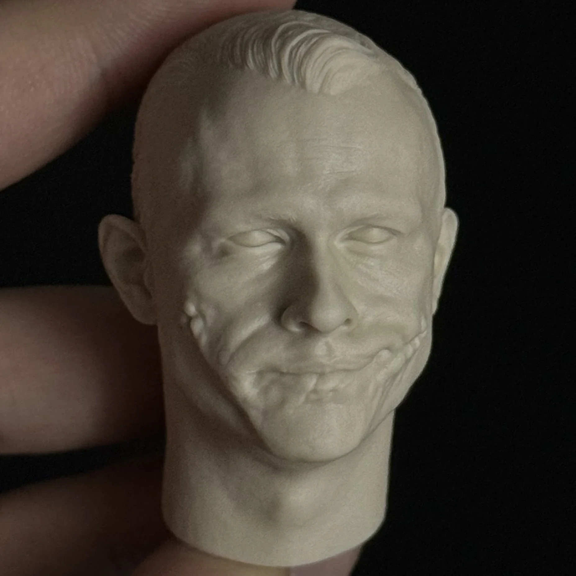 1/6 Die-Cast Resin Human Head Statue Fine Unpainted Free Shipping (Heath Ledger)