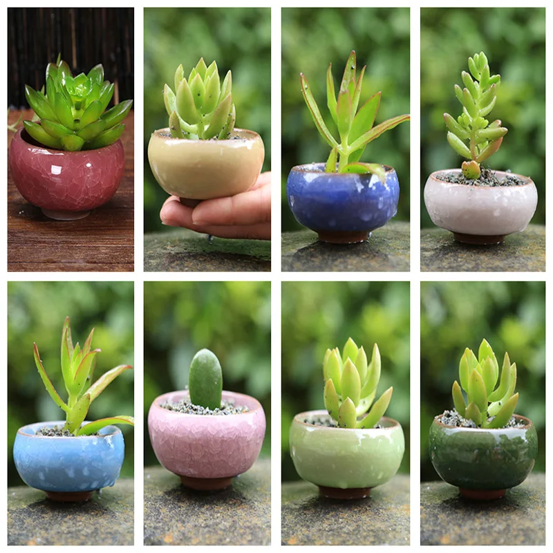 اناء للزهور السيراميك دقيق عملي صغير الحجم بسيط نبات عصاري زارع للمنزل