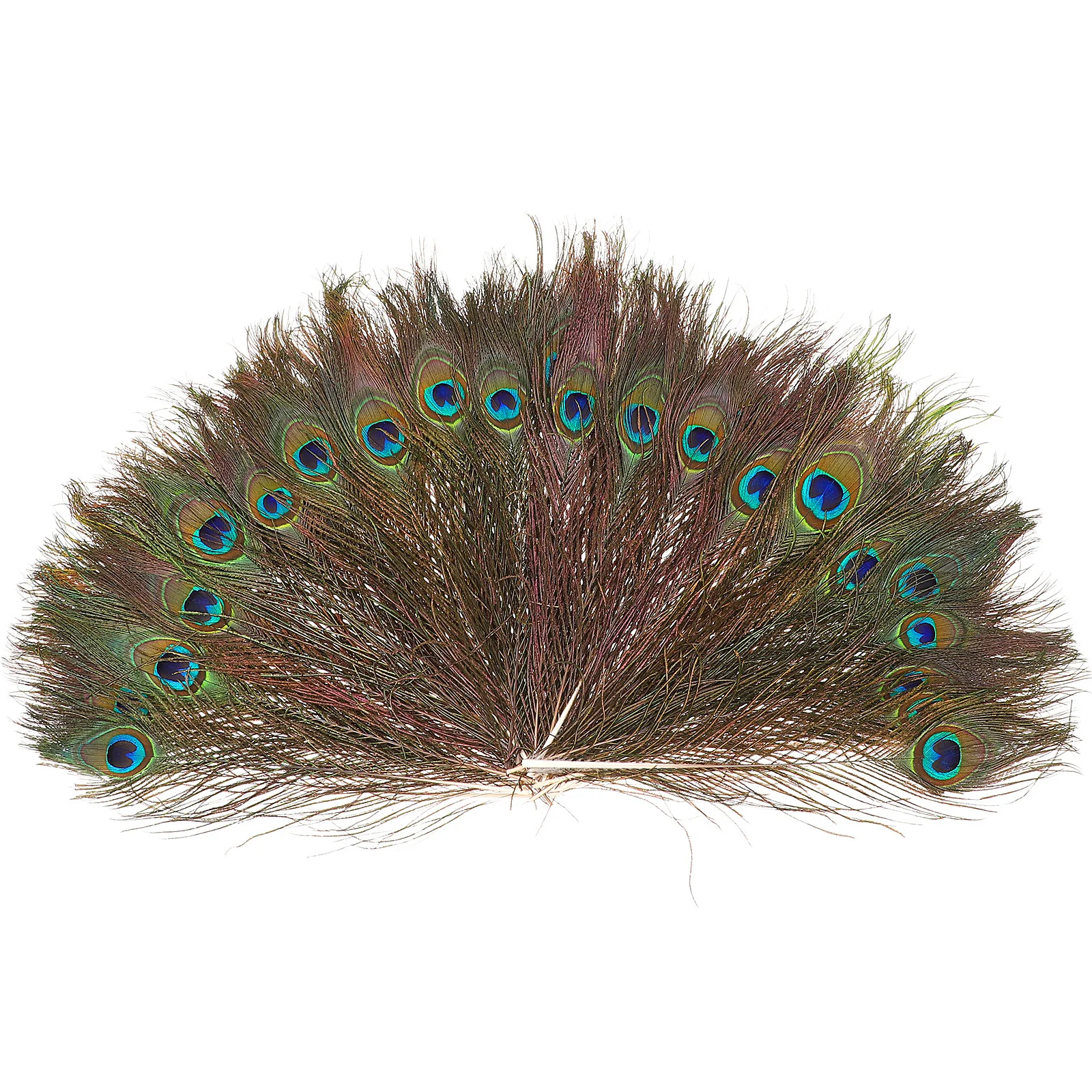 

100Pcs Natural Peacock Eye Tail 25-30cm Colorful Flexible for Craft DIY Dress Hat Bridal Party Natural