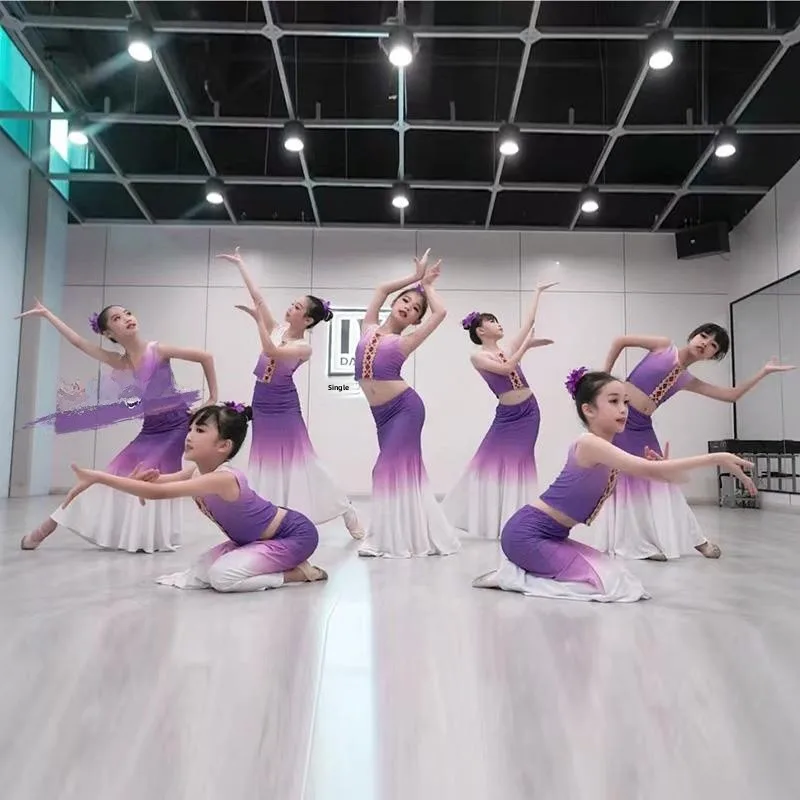 

Children's Women's Tai Dance Performance Costume Practice Skirt Fish Tail Performance Dress Ethnic Dance Stage Outfit