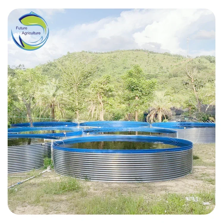 

Low Investment Above Ground Fish Farming High Income Tilapia Fish Tank Tarpaulin Fish Pond