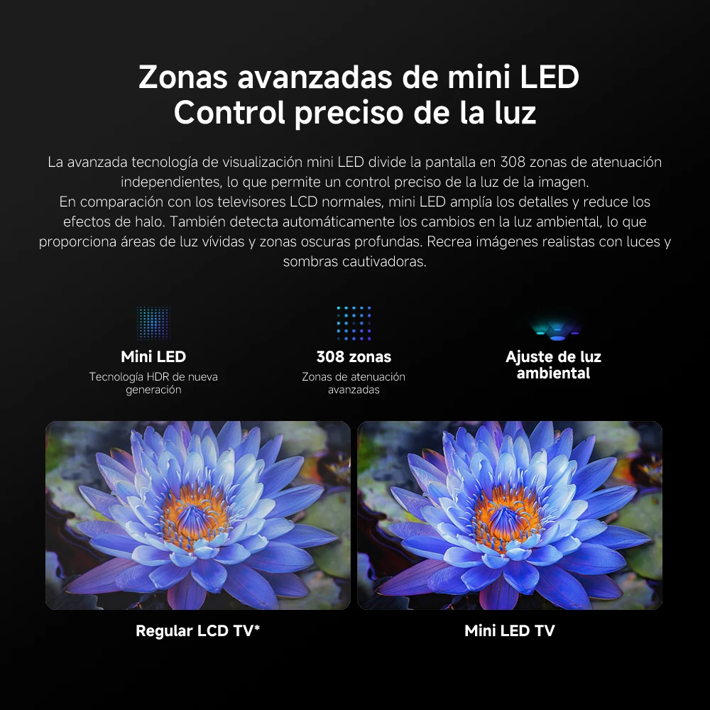 Imagen 6