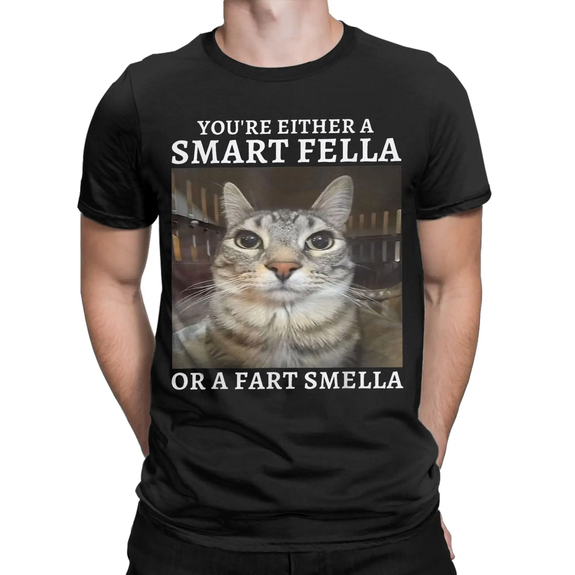 You're Either a Smart Fella or a Fart Smella Funny classicFunny Graphic 100% Cotton T-Shirt Cats meme Tees Tops For Men