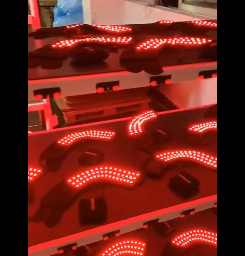 

Veterinary Equipments Low Level Light Therapy Labrador Dog Red Light Therapy