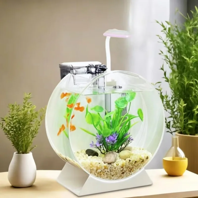 Small Ecological Desktop Fish Tank with Integrated Filtration and Creative Landscaping