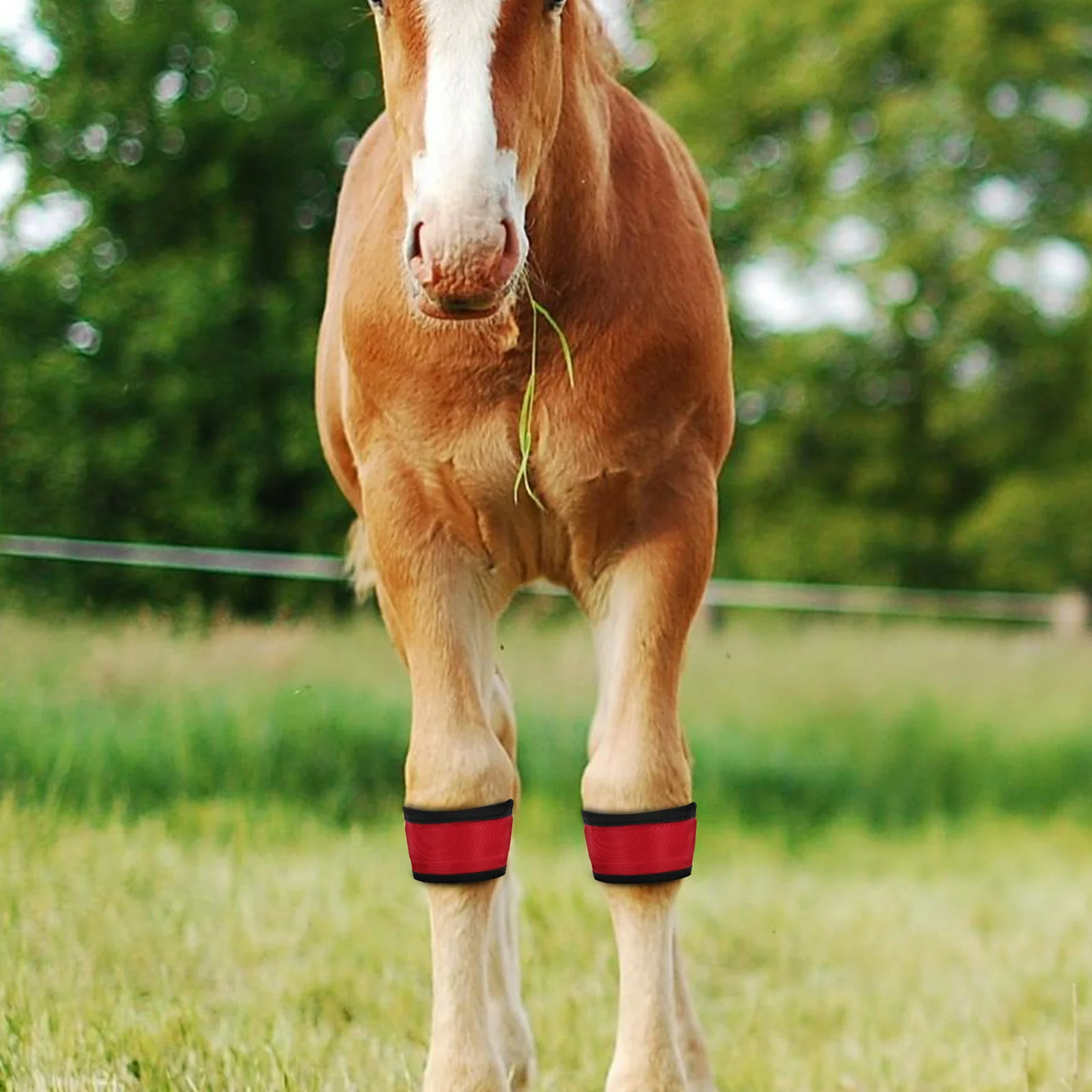

4 Pcs Girth Horse Ankle Strap Leggings Glowing Collar LED Light up Band Red Cloth Boots