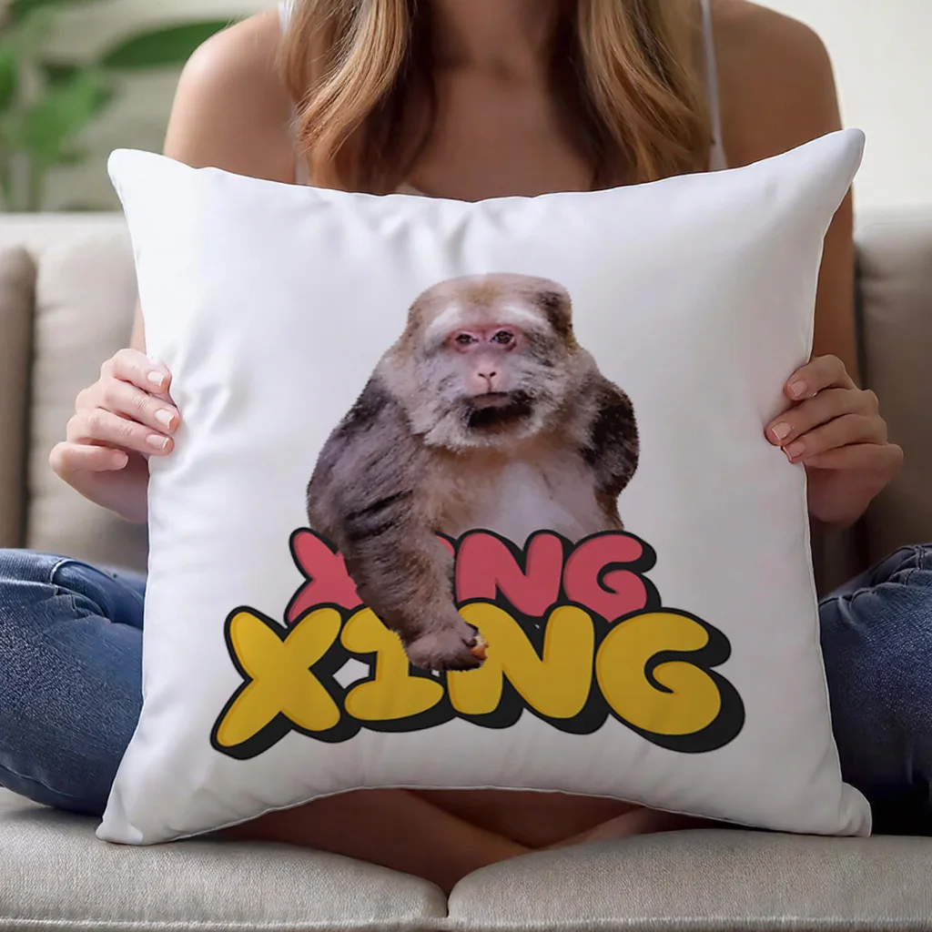 Short Plush “Xing Xing” Monkey Pillowcase 18x18 Inch Double Sided Printed Zipper Cushion Cover Vintage Fun Decor
