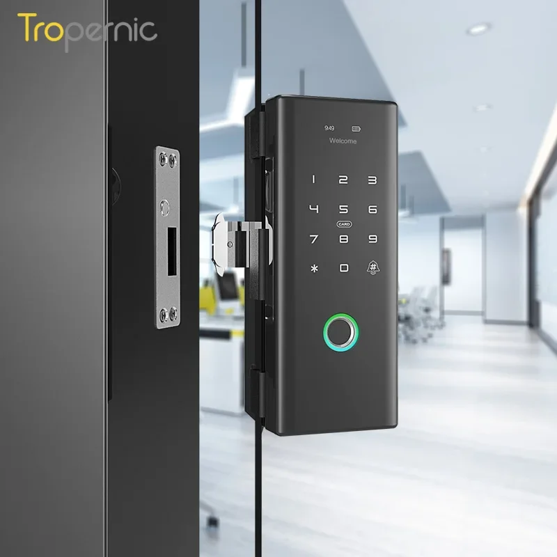 Cerradura Inteligente Security Automatic Cylinder Electric Drop Bolt Magnetic Tuya Glass Door Lock