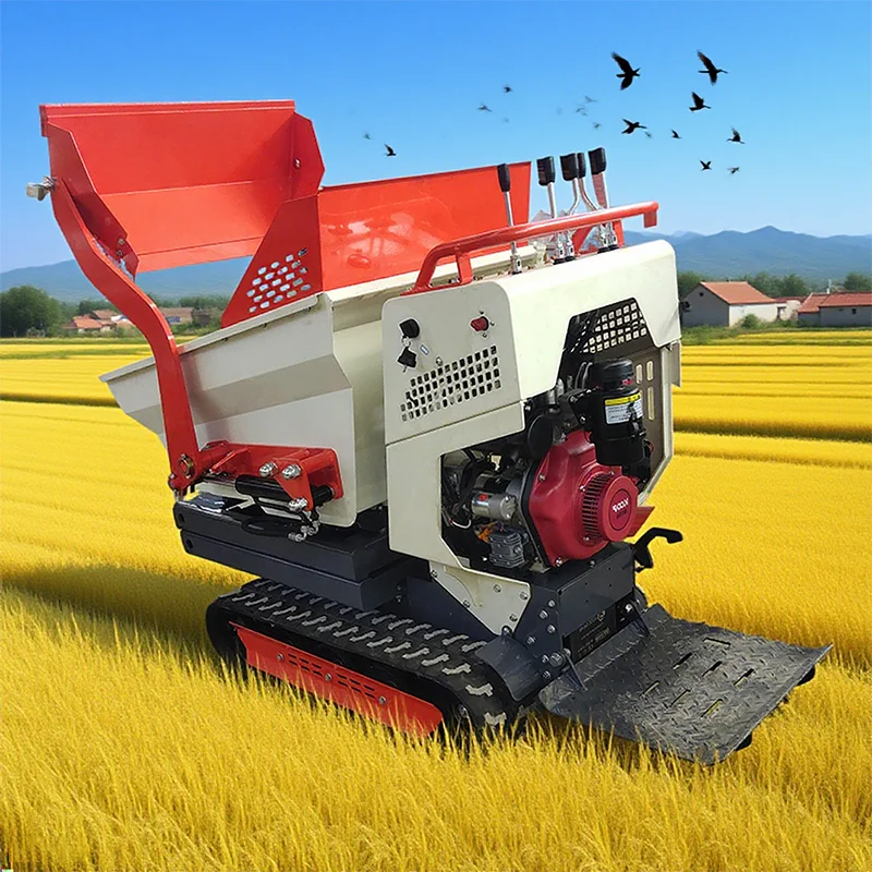

Customized 6.5 Hp Gas Petrol Motor Mini-Dumper Mini Truck Dumper For Agricultural Transportation