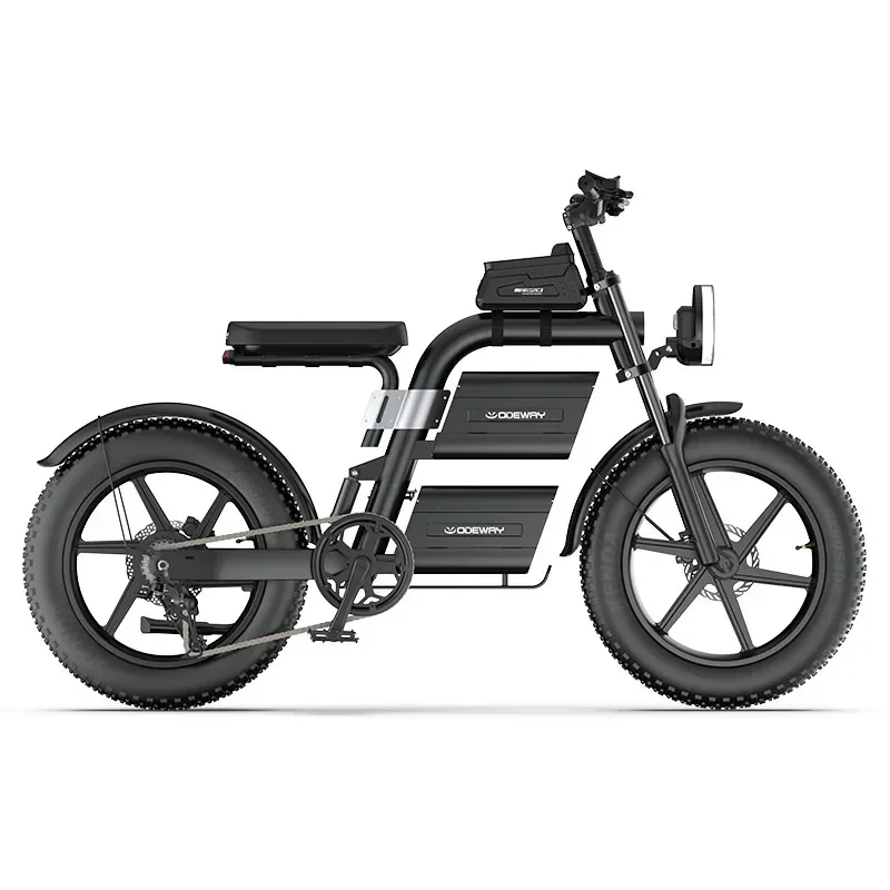 E20 New Design Dual Battery Electric Bike 20 Inch Fat Tire Off Road Ebike 2000W 60V Powerful Mountain Electric Bicycle