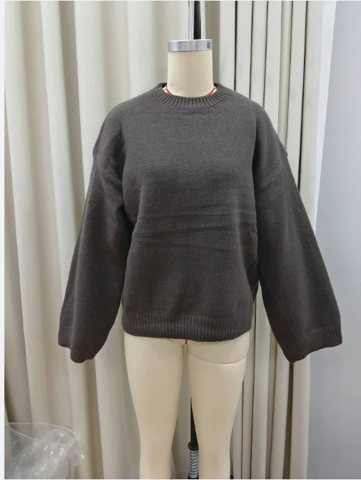 Chic Brown Round Neck Knited Pullover Women Fashion Long Sleeve Basic Loose Sweater 2025 Autumn Lady New Commute Knitwear Top