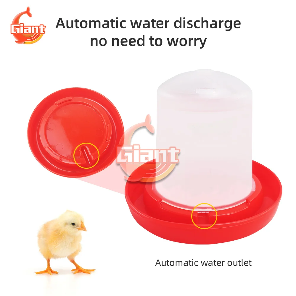 Chicken Manger Grid Feeders Chick Feeder Waterer