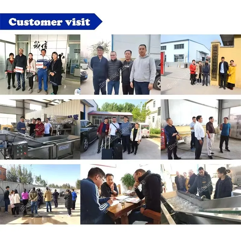 Factory Full-Automatic Stainless Steel Fish Ball Chopping Mixing Machine Frequency Conversion Surimi Chopper Meatball Meat Mixer