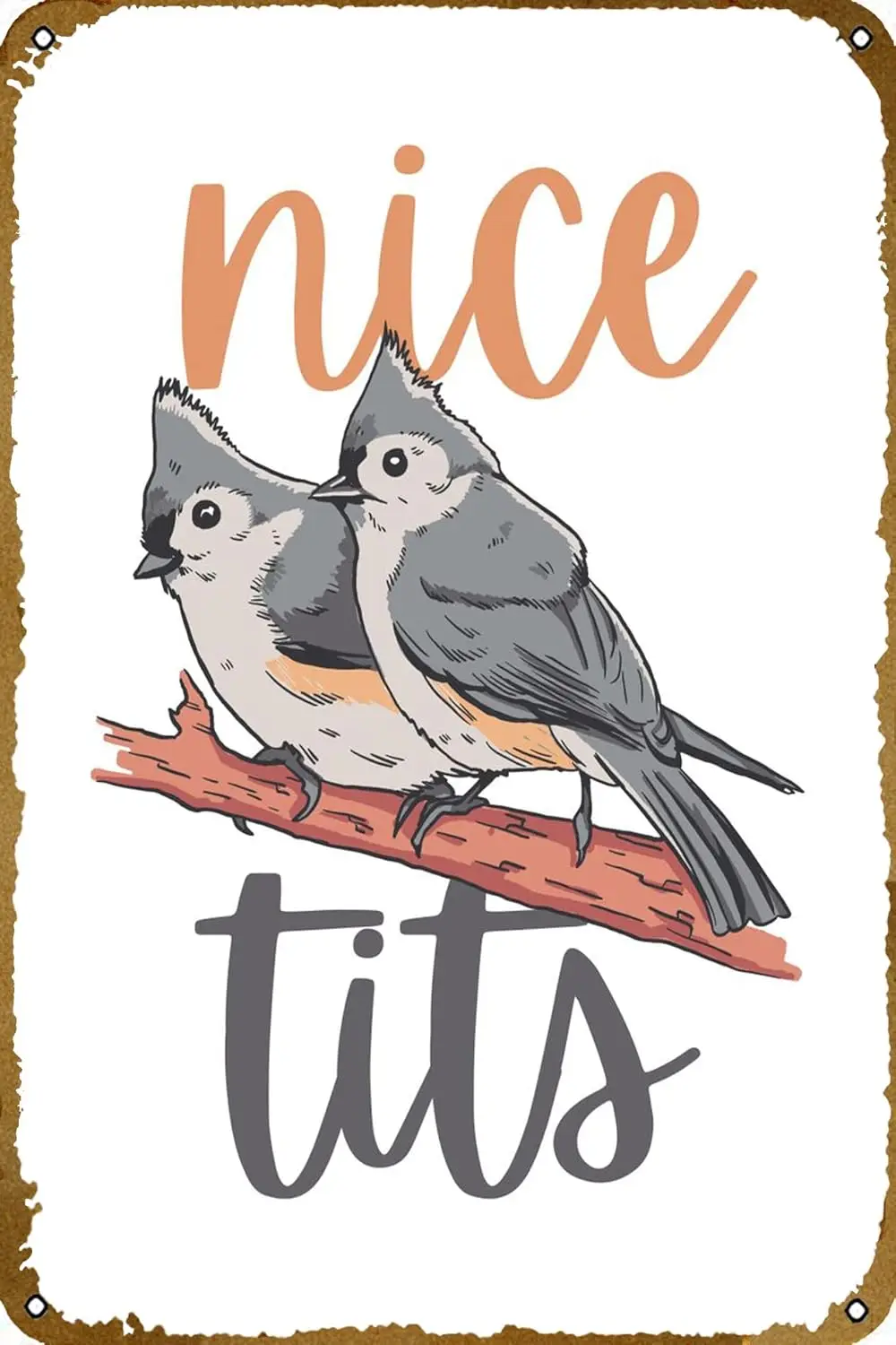 Nice Tits Tufted Titmouse Animal Metal Tin Sign Retro Best Garage Vintage Metal Tin Signs Poster Style Wall Art Decor 12x8inch