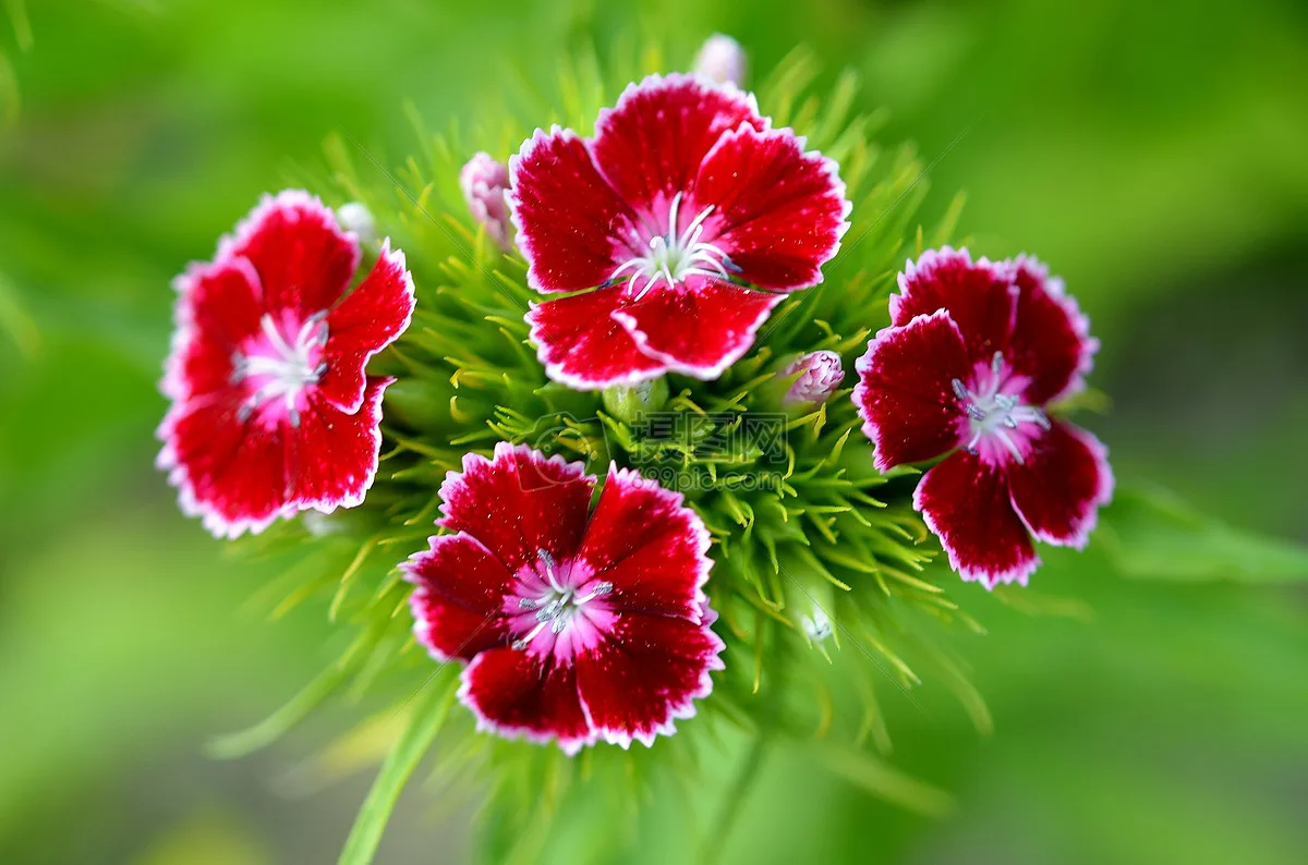 

Шины 137 мм с металлическим бедлоком и резиновыми вставками для радиоуправляемых краулеров CROSS YK TRX4 SCX10 1/8 H8H, запчасти для тюнинга